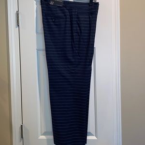 Never worn Banana Republic Logan Crop pants with horizontal stripes.